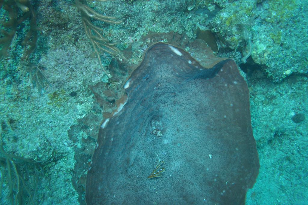 2008-05-19 15-21-08 H.JPG